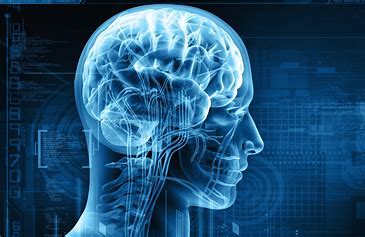 Neurosurgery
